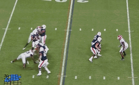 tigerswin_medium.gif