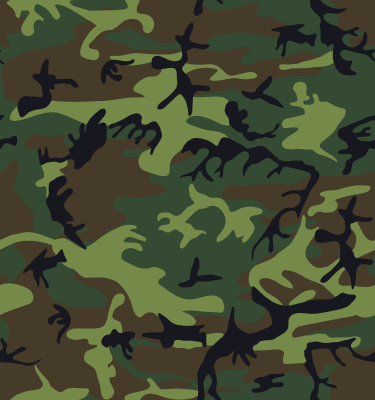 alnilam_camouflage_2.png
