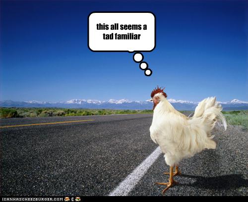 funny-pictures-chicken-crosses-road.jpg