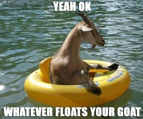 yeah-ok-whatever-floats-your-goat.jpeg