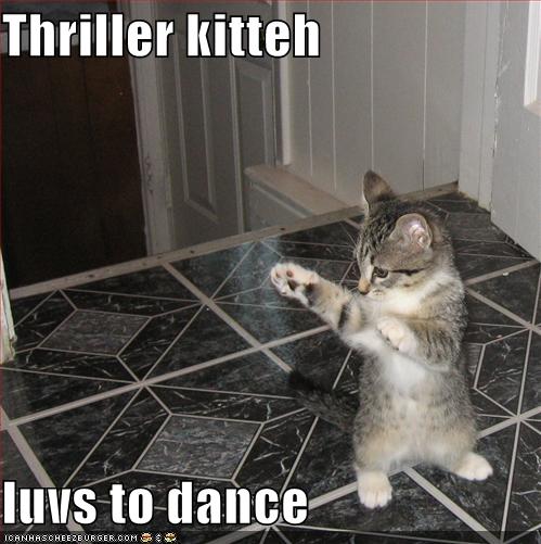 funny-pictures-thriller-kitten.jpg
