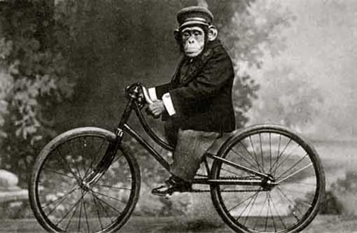 monkey_on_bicycle_vintage.jpg
