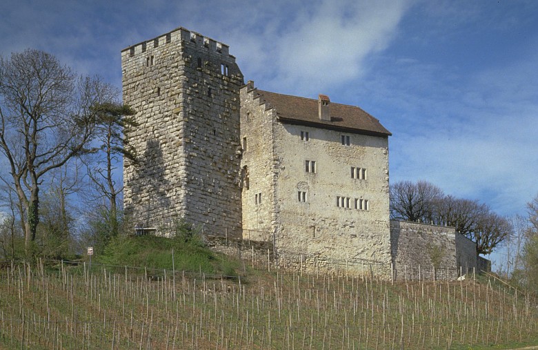 schloss_habsburg_heute_original.jpg