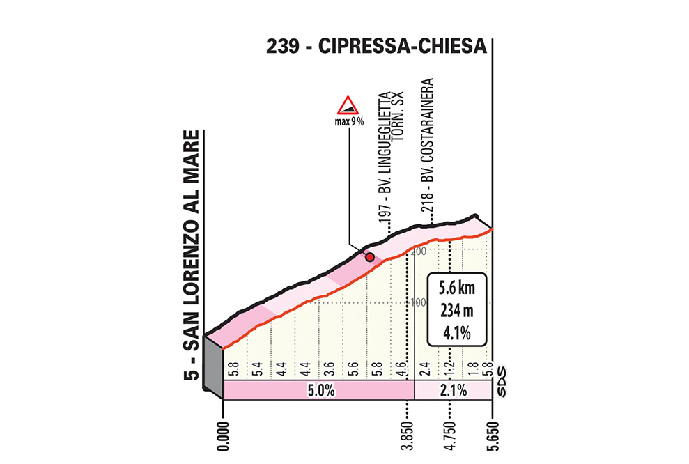 SRM_19_Cipressa_jpg.jpg