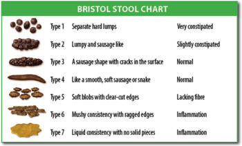 350px-Bristol_stool_chart.svg.png