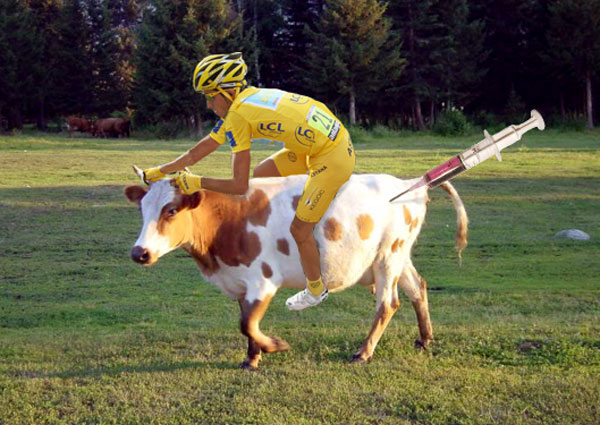 contador-on-a-cow1.jpg