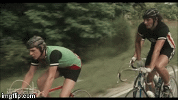 14maa9.gif
