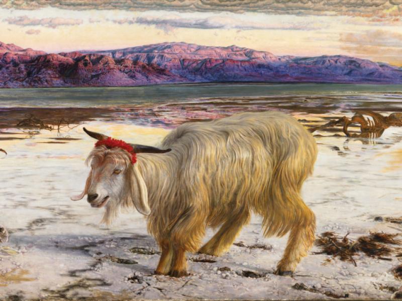 www.liverpoolmuseums.org.uk