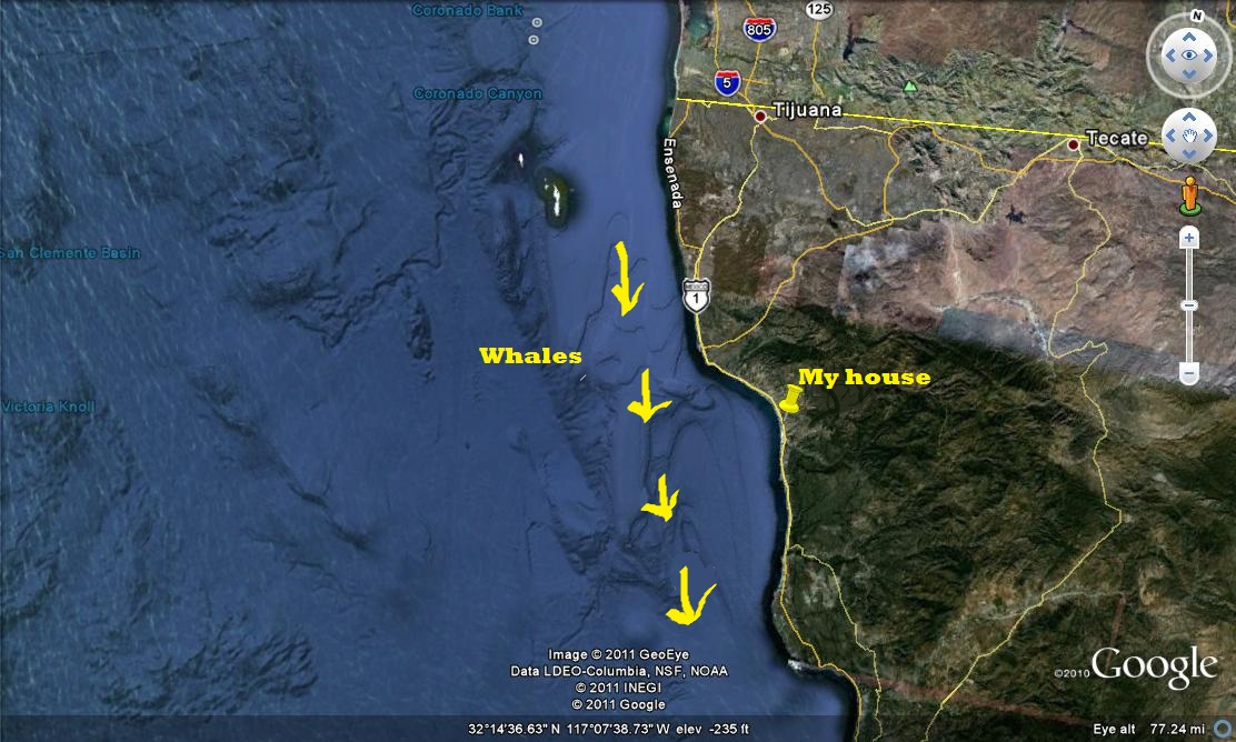 whales%2520route.jpg