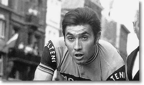 Merckx_74.jpg