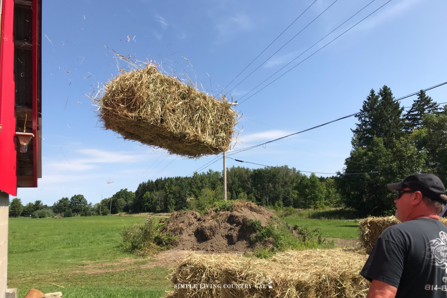 best-hay-for-goats-1.jpg