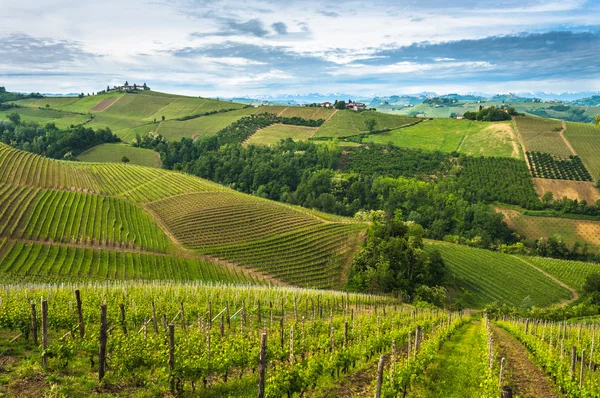 depositphotos_128328588-stock-photo-vineyards-of-langhe-panorama-piedmont.jpg