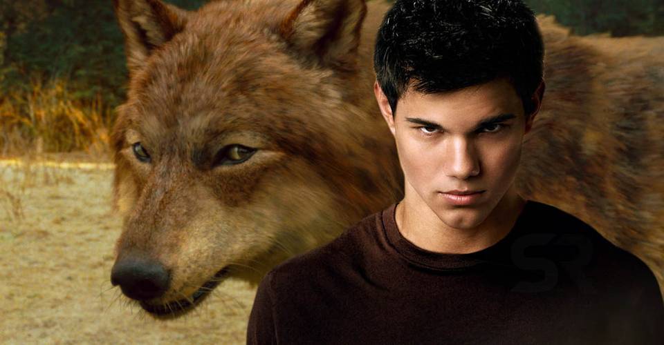Twilight-New-Moon-tease-Jacob-werewolf-hint.jpg