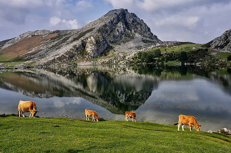 800px-LAGOS_DE_COVADONGA_8.jpg