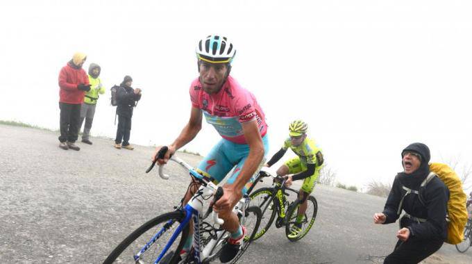 2116737-nibali2.jpg